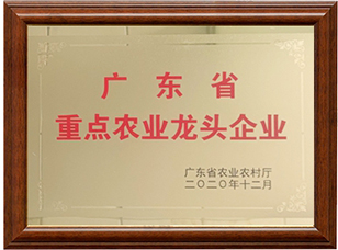 㶫ʡصũҵͷҵ