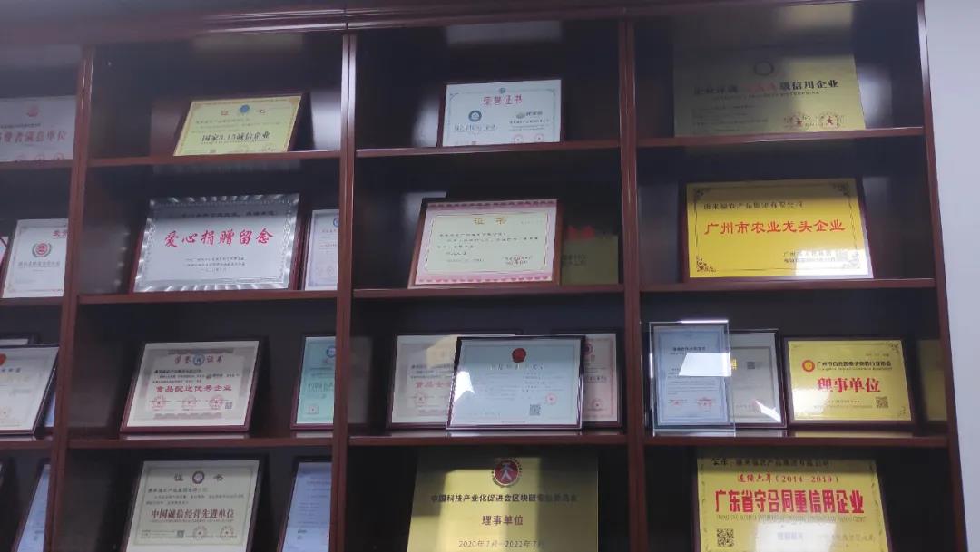 YYǽ