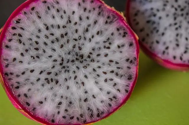 Ļ