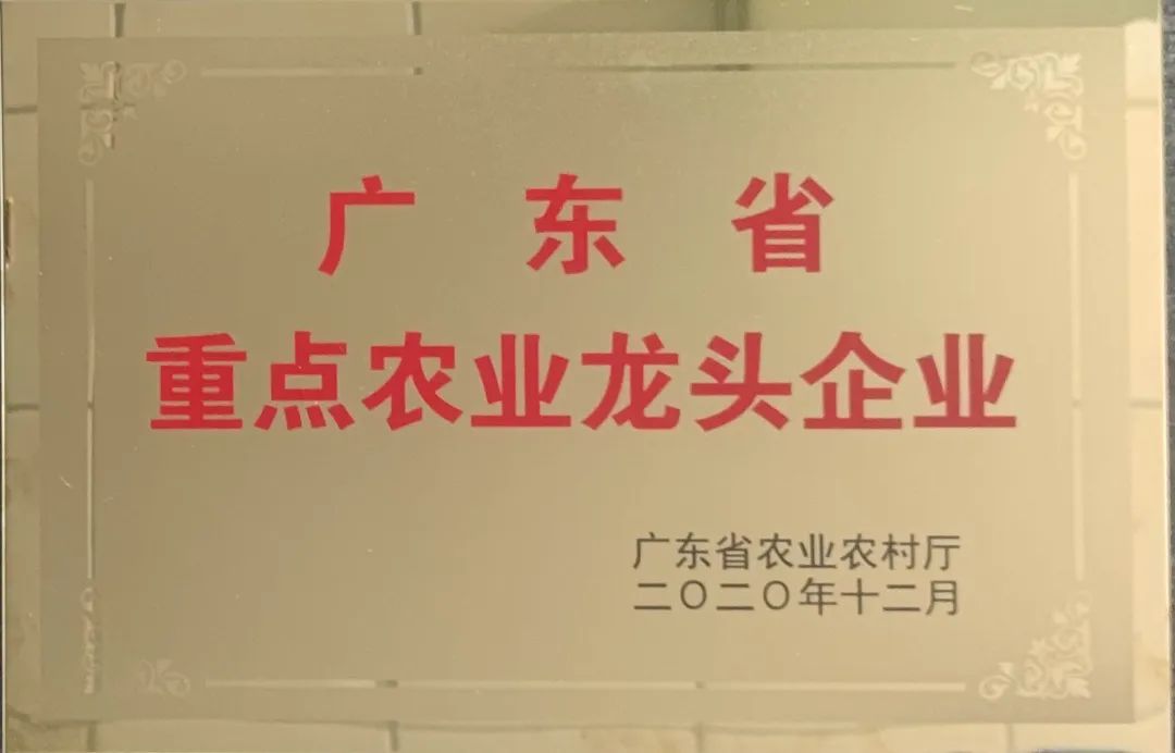 ʡƺ